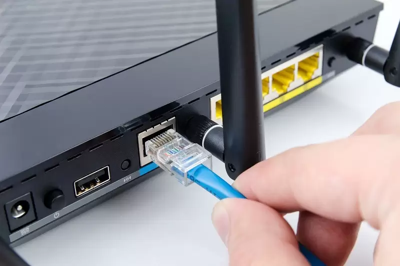 Сетевой кабель для интернета: витая пара и оптоволоконный. Какой кабель выбрать для подключения интернета в квартире?